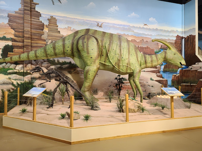 Dinosaur Store2