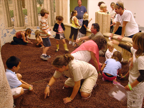 Dig for real fossils!