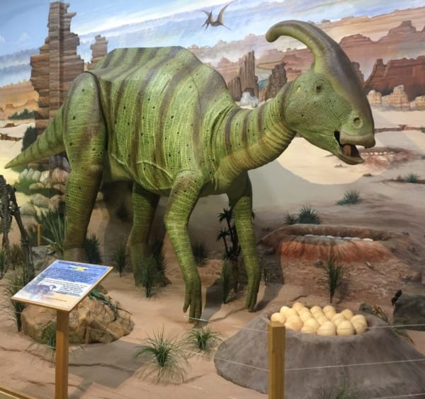 dinosaur store museum