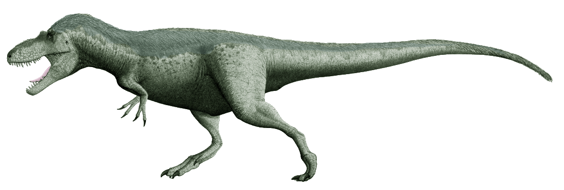 Daspletosaurus-tyrannosaurid