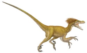 Deinonychus Raptor