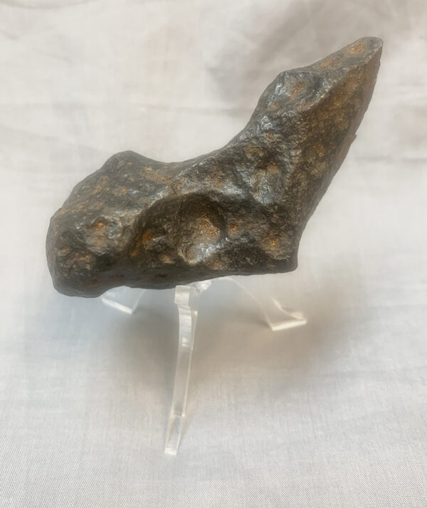 Iron Meteorite Campo del Cielo 1